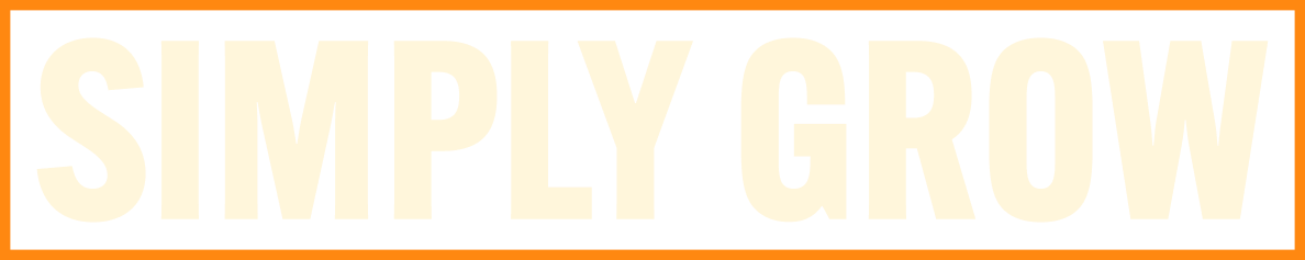 page banner